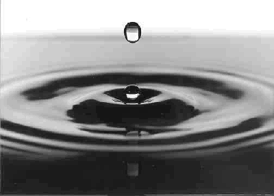 droplets making rings in the water surface